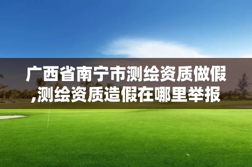 廣西省南寧市測繪資質做假,測繪資質造假在哪里舉報