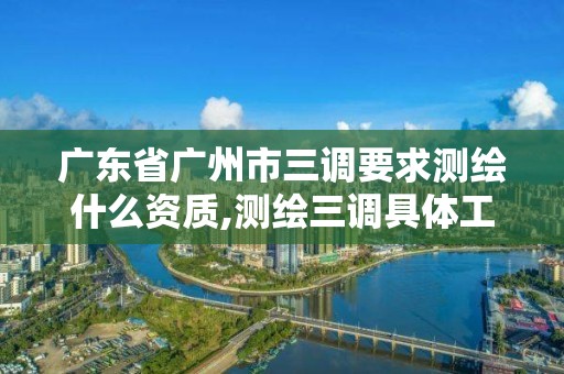 廣東省廣州市三調要求測繪什么資質,測繪三調具體工作內容