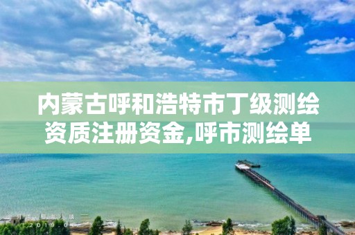 內蒙古呼和浩特市丁級測繪資質注冊資金,呼市測繪單位