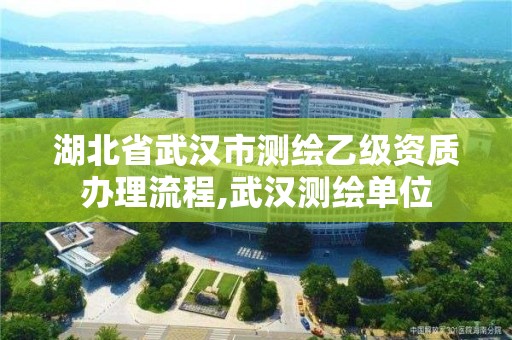 湖北省武漢市測繪乙級資質辦理流程,武漢測繪單位