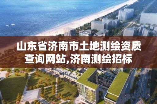 山東省濟南市土地測繪資質查詢網站,濟南測繪招標