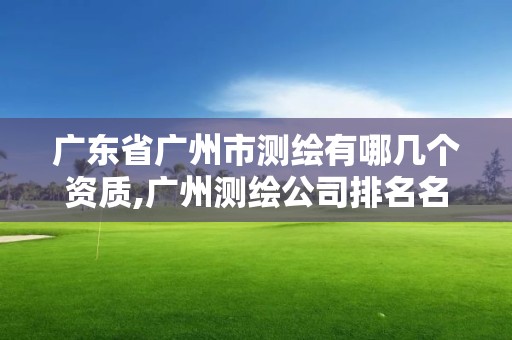 廣東省廣州市測(cè)繪有哪幾個(gè)資質(zhì),廣州測(cè)繪公司排名名單