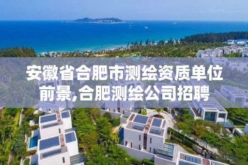 安徽省合肥市測繪資質單位前景,合肥測繪公司招聘