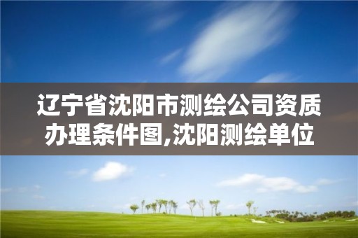 遼寧省沈陽市測繪公司資質辦理條件圖,沈陽測繪單位招聘