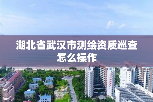 湖北省武漢市測繪資質巡查怎么操作