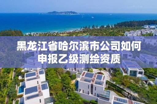 黑龍江省哈爾濱市公司如何申報乙級測繪資質