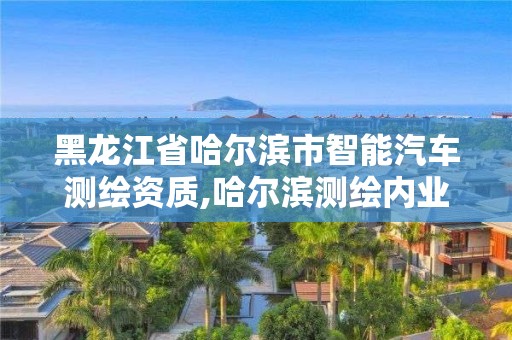 黑龍江省哈爾濱市智能汽車測繪資質,哈爾濱測繪內業招聘信息