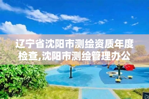 遼寧省沈陽市測繪資質年度檢查,沈陽市測繪管理辦公室