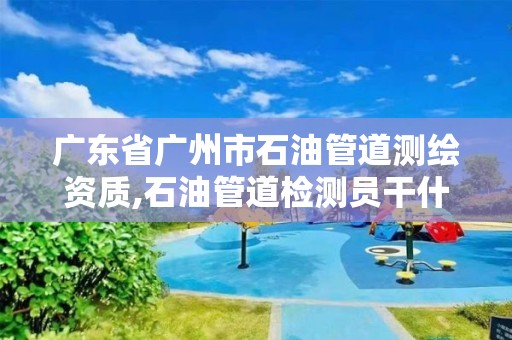 廣東省廣州市石油管道測繪資質(zhì),石油管道檢測員干什么的