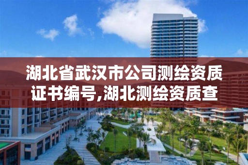 湖北省武漢市公司測繪資質證書編號,湖北測繪資質查詢。