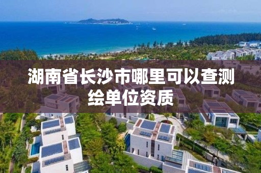 湖南省長沙市哪里可以查測繪單位資質