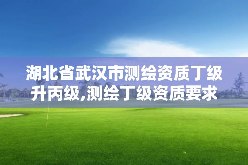 湖北省武漢市測繪資質(zhì)丁級(jí)升丙級(jí),測繪丁級(jí)資質(zhì)要求