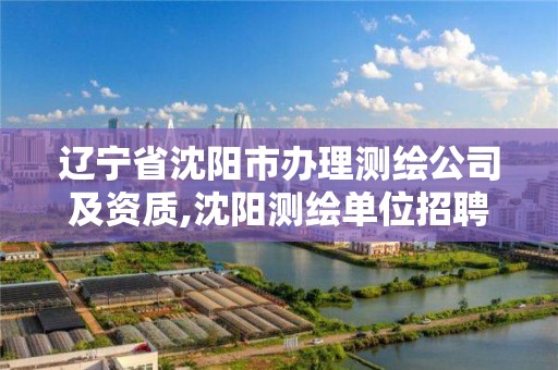 遼寧省沈陽市辦理測繪公司及資質,沈陽測繪單位招聘