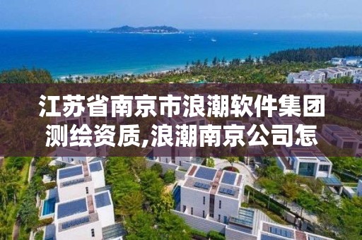 江蘇省南京市浪潮軟件集團測繪資質,浪潮南京公司怎么樣