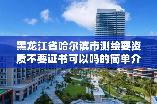 黑龍江省哈爾濱市測繪要資質不要證書可以嗎的簡單介紹