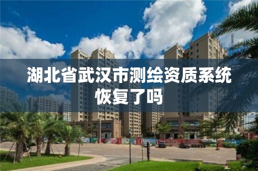 湖北省武漢市測繪資質系統恢復了嗎