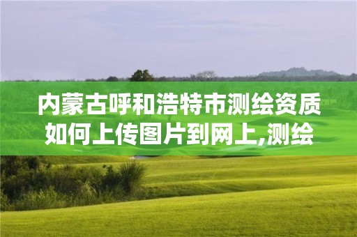 內蒙古呼和浩特市測繪資質如何上傳圖片到網上,測繪資質申報系統。