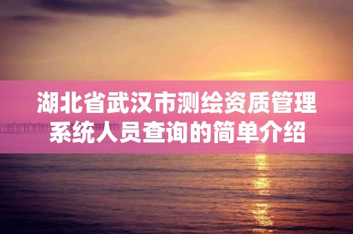 湖北省武漢市測繪資質管理系統人員查詢的簡單介紹