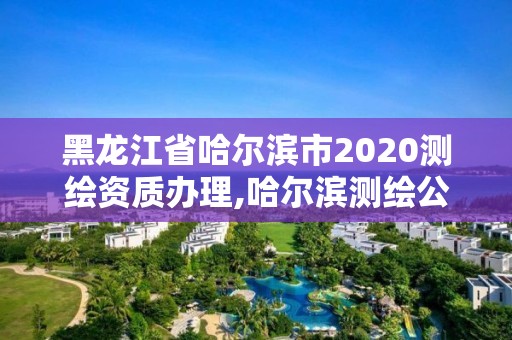 黑龍江省哈爾濱市2020測繪資質辦理,哈爾濱測繪公司電話