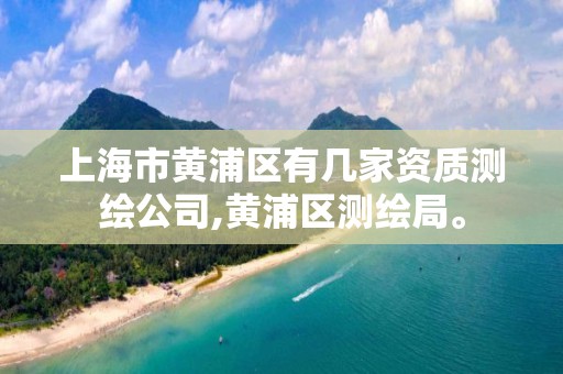 上海市黃浦區有幾家資質測繪公司,黃浦區測繪局。