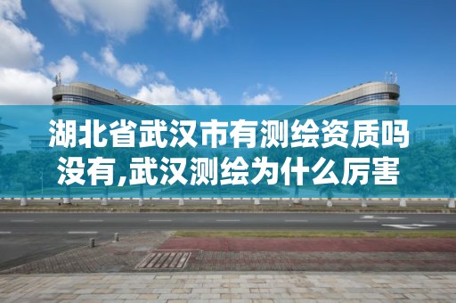 湖北省武漢市有測繪資質嗎沒有,武漢測繪為什么厲害。