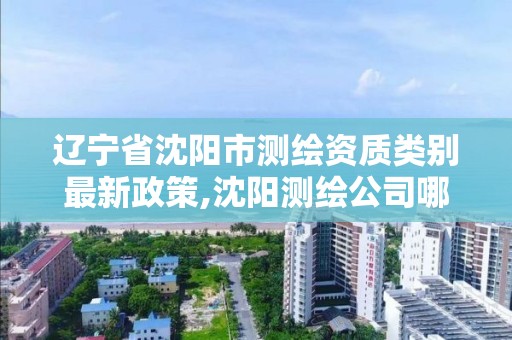 遼寧省沈陽市測繪資質類別最新政策,沈陽測繪公司哪家強哪家好。