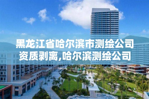 黑龍江省哈爾濱市測繪公司資質剝離,哈爾濱測繪公司電話