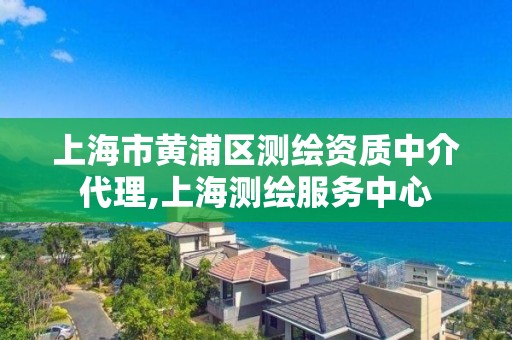 上海市黃浦區測繪資質中介代理,上海測繪服務中心