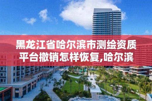 黑龍江省哈爾濱市測繪資質平臺撤銷怎樣恢復,哈爾濱測繪局幼兒園是民辦還是公辦