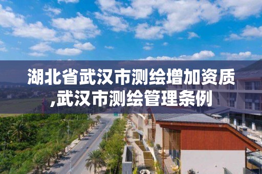 湖北省武漢市測繪增加資質,武漢市測繪管理條例