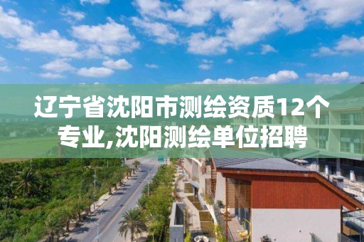 遼寧省沈陽市測繪資質12個專業,沈陽測繪單位招聘