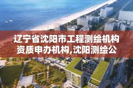 遼寧省沈陽市工程測繪機構資質申辦機構,沈陽測繪公司哪家強哪家好。