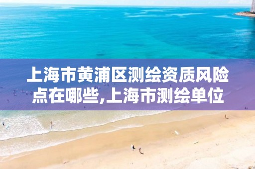 上海市黃浦區測繪資質風險點在哪些,上海市測繪單位名單