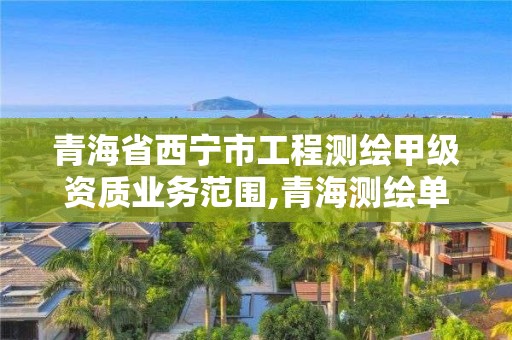 青海省西寧市工程測繪甲級資質業務范圍,青海測繪單位。