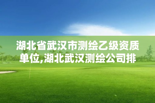 湖北省武漢市測繪乙級資質(zhì)單位,湖北武漢測繪公司排行榜