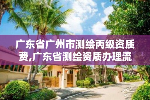 廣東省廣州市測繪丙級資質費,廣東省測繪資質辦理流程