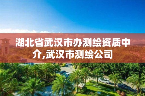 湖北省武漢市辦測繪資質中介,武漢市測繪公司