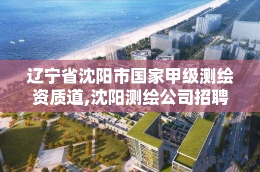 遼寧省沈陽市國家甲級測繪資質道,沈陽測繪公司招聘