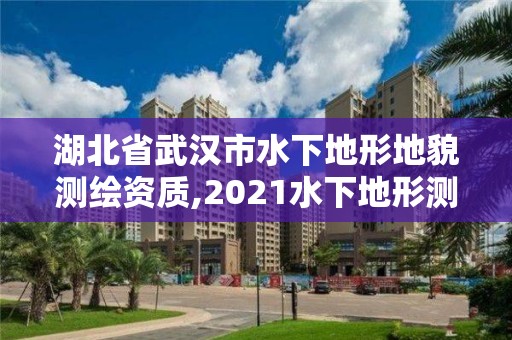 湖北省武漢市水下地形地貌測繪資質,2021水下地形測量招標