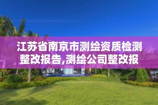 江蘇省南京市測繪資質檢測整改報告,測繪公司整改報告