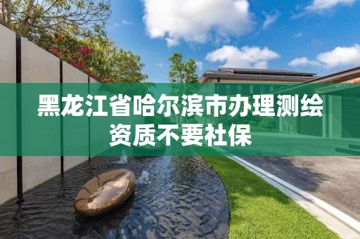 黑龍江省哈爾濱市辦理測繪資質(zhì)不要社保