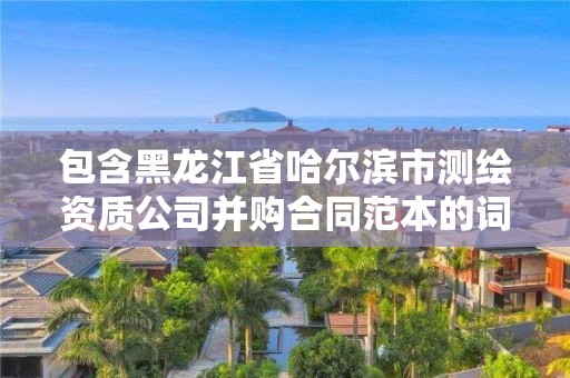 包含黑龍江省哈爾濱市測繪資質公司并購合同范本的詞條