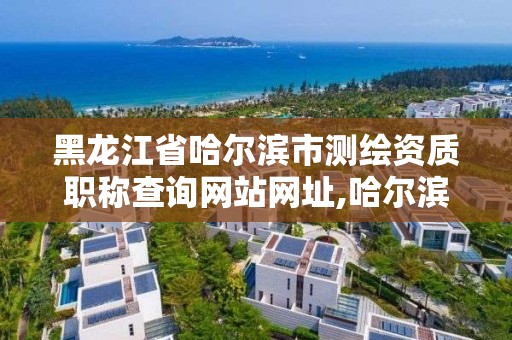 黑龍江省哈爾濱市測繪資質職稱查詢網站網址,哈爾濱測繪局在哪。