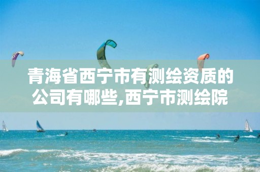 青海省西寧市有測繪資質的公司有哪些,西寧市測繪院招聘公示。