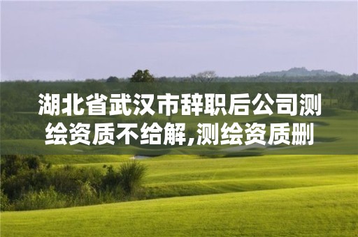 湖北省武漢市辭職后公司測(cè)繪資質(zhì)不給解,測(cè)繪資質(zhì)刪除離職人員。