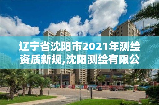 遼寧省沈陽市2021年測繪資質新規,沈陽測繪有限公司