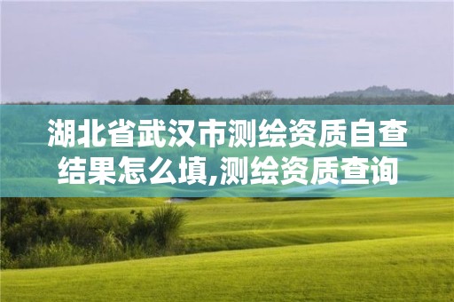 湖北省武漢市測繪資質(zhì)自查結(jié)果怎么填,測繪資質(zhì)查詢監(jiān)管平臺(tái)。