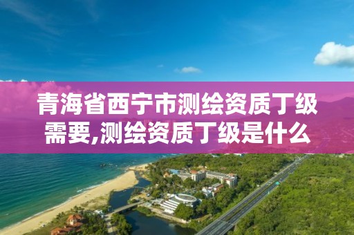 青海省西寧市測繪資質丁級需要,測繪資質丁級是什么意思