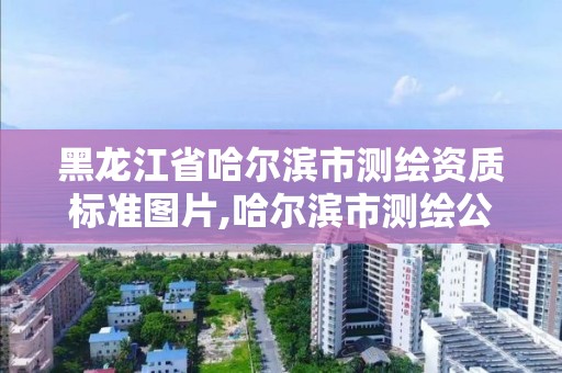 黑龍江省哈爾濱市測繪資質標準圖片,哈爾濱市測繪公司