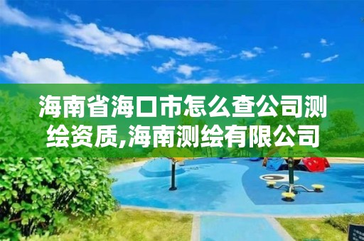 海南省海口市怎么查公司測繪資質,海南測繪有限公司